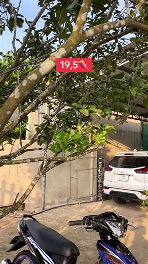 Exploring the Exciting Features of CapCut for TikTok