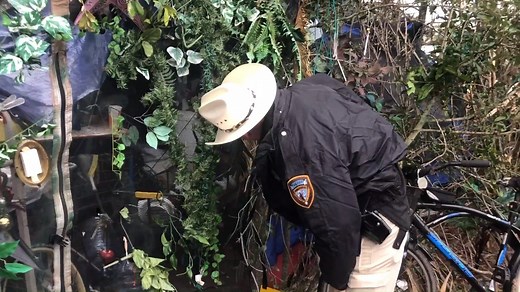 5.4K views · 120 reactions | For three days this week, members of the...