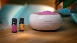 18K views · 316 reactions | En Tupperware® conocemos tus nuevas necesidades al estar en casa, por eso tenemos para ti la nueva categoría #TupperwareHome, para dar un ambiente único y lleno de alegría y tranquilidad en tu hogar. ¡Conoce nuestros productos para ello!  | Tupperware México | Facebook