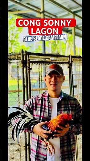 Cong Sonny Lagon's Machine Kelso