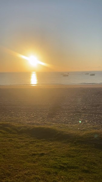 REELS DE REGGAE | Melo de Joana Vs 2015 -Allexinno & Starchild - Joanna #reggae #reggaeton #reggaebrasileiro #reggaecoladinho #reggaemusic #reggaeroots... | Instagram