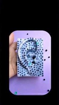 🤫🫡“The Satisfaction Secret Nobody Talks About”#shortsfeed #satisfying