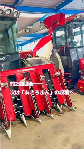 ヤンマーコンバイン YH571A ×2 コシヒカリ収穫完了 次はコンバイン３台体制であきろまんへ #北広島町 #東山米 #農家直販