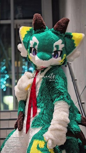 Recent fursuit photos I posted on SNS.