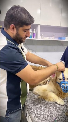 A Pet Parent’s Honest Review of Petvet Clinic ✨🐶 #petvetclinic