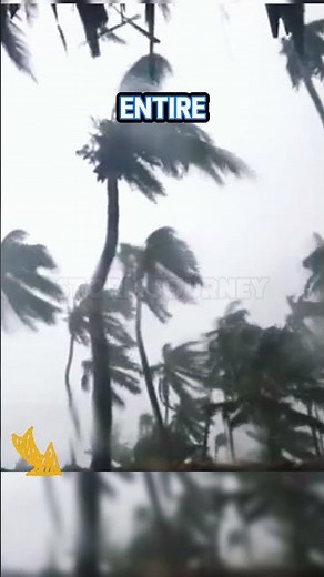 Hurricane MARIA Footage You've Never Seen Before #hurricane #storm #weather