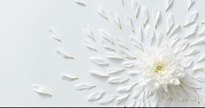 Egg Donation Services in Virginia