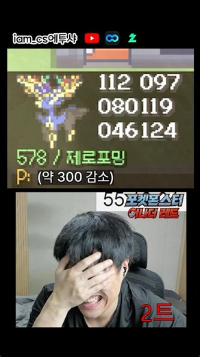 종족값 872 관상용 포켓몬