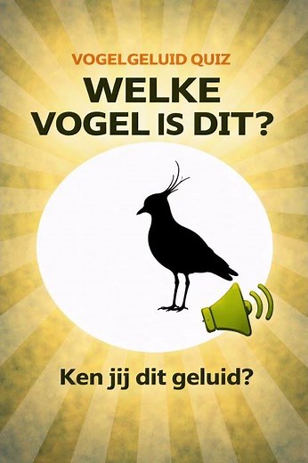 Ken jij dit vogelgeluid? #4 | Bijna iedereen kent dit weidevogel geluid