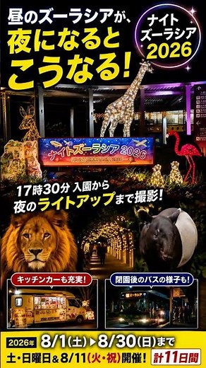 What Happens to Zoorasia at Night [Night Zoorasia 2026]