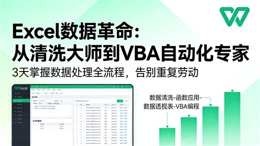 2026最新Excel高阶教程：全干货带你掌握数据清洗与VBA自动化编程，零基础也能听懂的逻辑课，轻松应对百万行报表，解决表格卡顿痛点，助力职场新人实现工作效率