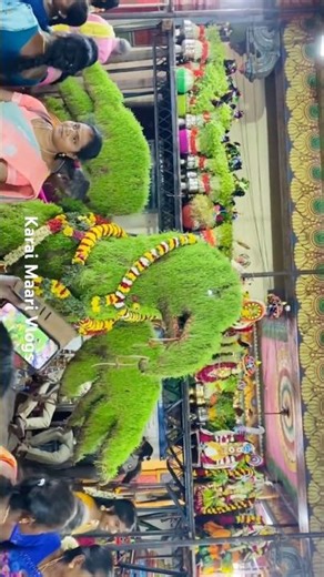 KARAIKUDI MUTHUMAARIAMMAN KOVIL THIRUVIZHA 2026 | திருவிழா STATUS 54 மது முளைப்பாரி KARAIMAARIVLOGS