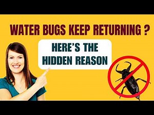 Water Bug Infestation in House : What Attracts Them & How to Stop Them
