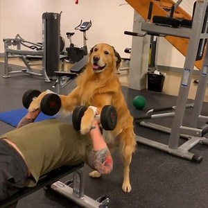 The one gym buddy who will NEVER let you down.. | MuscleFood