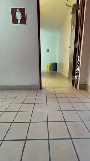 Duck Uses Public Restroom
