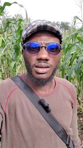 15K views · 382 reactions | How to Calculate Feed Conversion Ratio (FCR) for Your Pigs | Olasfem farms | Facebook