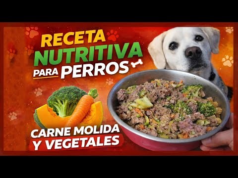 How to make homemade and nutritious food for dogs 🐶🥕🥦 (Easy recipe)