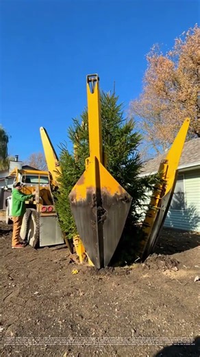 Planting Trees with Machines: How Modern Tech Makes Greening Faster and Easier