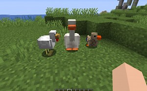 这个世纪难题终于解决了！！