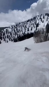 Monday morning mayhem www.jerryoftheday.net | Jerry of the Day