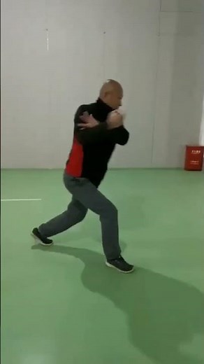 太極梅花螳螂拳 王志強老師 攔截 2023年？