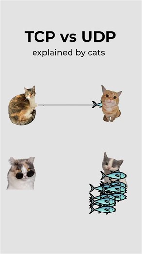 coding.kitty on Instagram: "TCP vs UDP, explained by cats. #cat #coding #network #protocols #tcp"