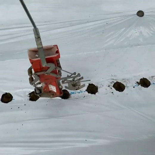 スナップエンドウの種まき みのるスキップシーダー