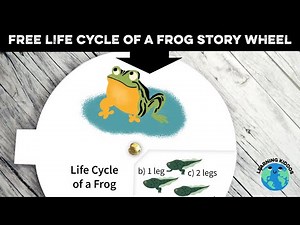 Make this cool free lifecycle of a frog story wheel!