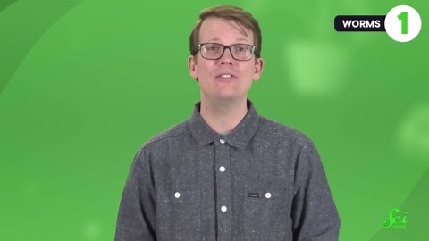 Why do these animals get tied up in knots?