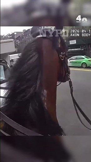 Horse chase bodycam: NYPD releases new look at UWS pursuit | NBC New York