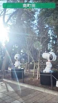 スヌーピーたち #鶴間公園 #スヌーピーミュージアム #snoopy #公園 #アウトドア #snoopymuseumtokyo #鶴間 #南町田 #町田 #東京 #神奈川 #shorts