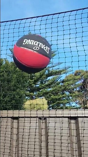 Ball Stop Barrier Nets by Haverford