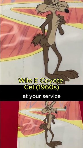 Authentic Wile E. Coyote Animation Art Cel Looney Tunes Collector Find