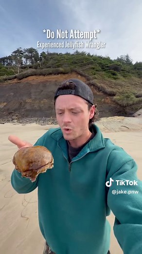 Rescuing Orange Jellyfish on Oregon Coast