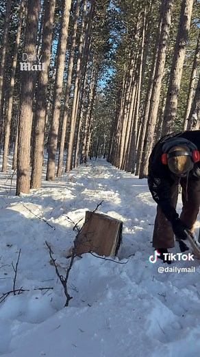 I didn't know trees could explode 😳 #viral #cold #usa 📽️ Buckaroost via ViralHog