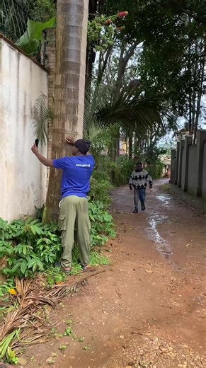 Unbelievable Skills with CD Talker