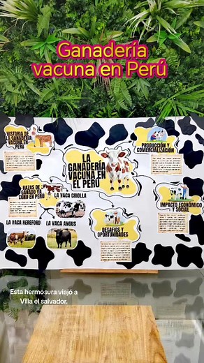 Exposiciones Creativas: Ideas para Dejar a Todos Sorprendidos