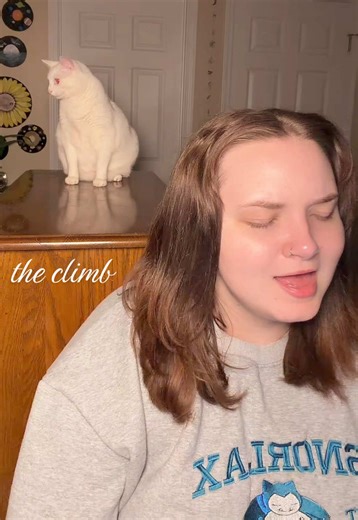 My Cat's Hilarious Reaction to Miley Cyrus' The Climb