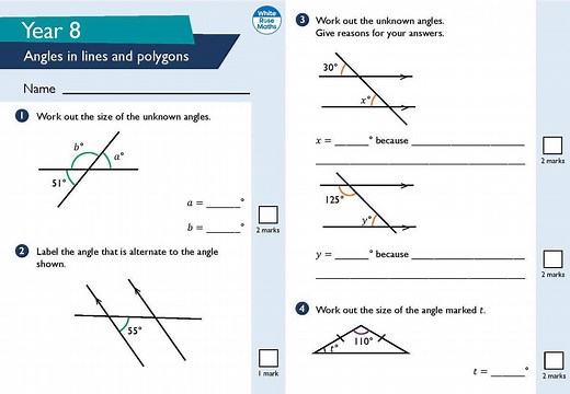 1.1K views |  Our Year 8 End of Block assessment on Angles in...