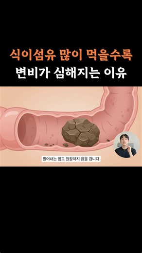 식이섬유 많이 먹을수록 변비가 심해지는 이유