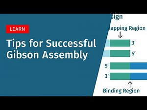 4 Tips for Better Gibson Assembly Results