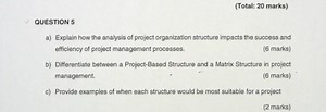 QUESTION 5a) Explain how the analysis of project organization... | Filo