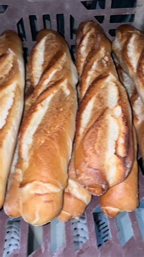 Discover Artisan Bread at GLMS Bakery