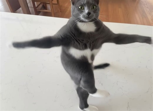 Carrie Lux Cattalo (@carrieluxcattalo)’s videos with I'm Fat - Sim