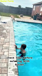 Pool Rules According to Buster Rule #1: Buster makes the rules 😎💦 Watch what really happens when this wild pup hits the pool! #bustersworld #dogsoftiktok #crazydogs #pets #petsoftiktok #baddogsoftiktok #pooldogs #dogfun #splashzone #puppycharm | Buster Funny