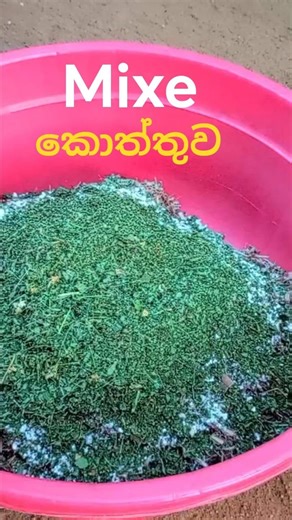අලුත්ම Mixe වැඩේ !🔥 සුපිරියක් #short #viral