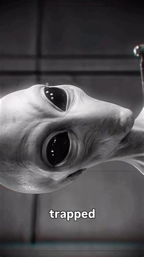This alien interview from 1947 started creeping me out… #study #learning #travel #alien #scientology