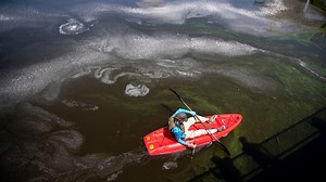 Algaecides kill toxic algae blooms, but are they safe and effective long-term?