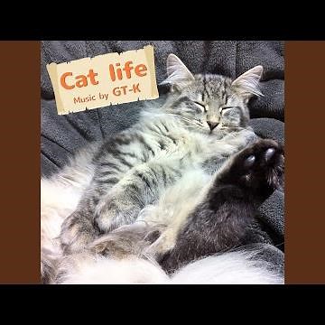 Cat life (2017 Ver.)