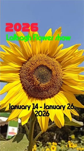 Lalbagh Flower show २०२६ #nammabengaluru